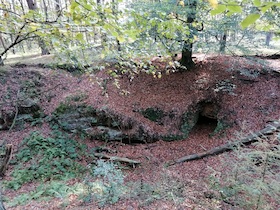 Sagenhafte Wanderung durch die Emmelkämper Mark