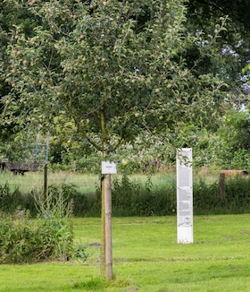 Streuobstwiese – eine Tour mit Mareike Hölscher